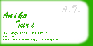 aniko turi business card
